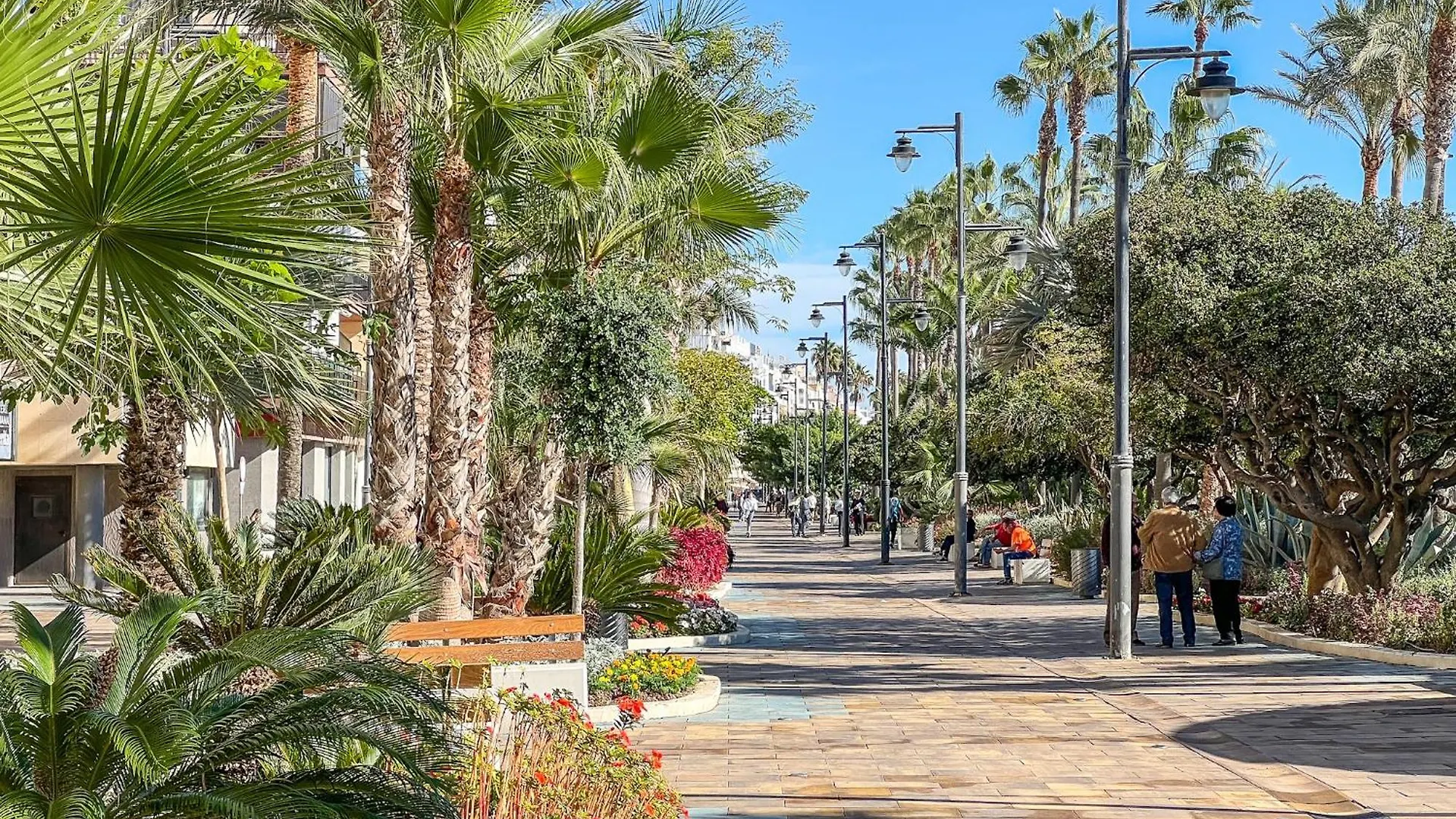 公寓 Hanami Avenida De Espana 埃斯特波纳